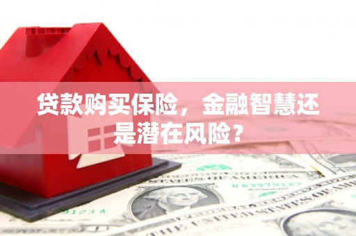 大武贷款购买保险，金融智慧还是潜在风险？