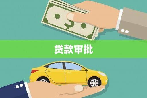 大武贷款审批