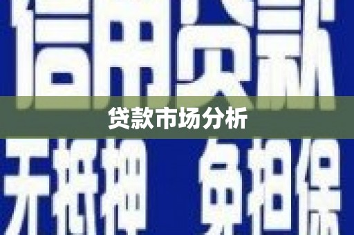 大武贷款市场分析