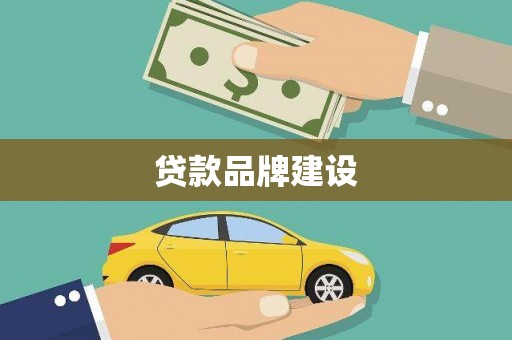 大武贷款品牌建设