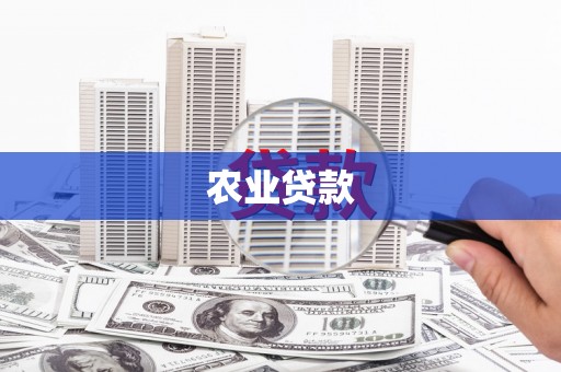 大武农业贷款