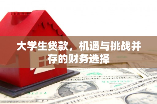 大武大学生贷款，机遇与挑战并存的财务选择