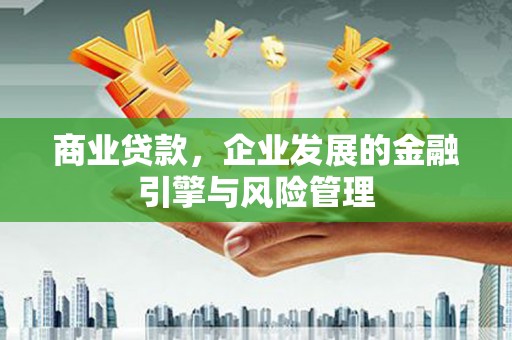 大武商业贷款，企业发展的金融引擎与风险管理