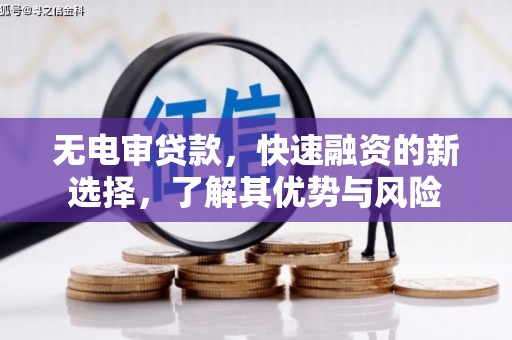 大武无电审贷款，快速融资的新选择，了解其优势与风险