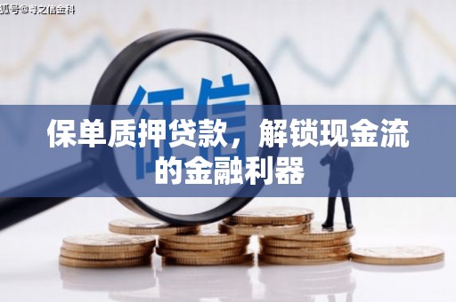大武保单质押贷款，解锁现金流的金融利器