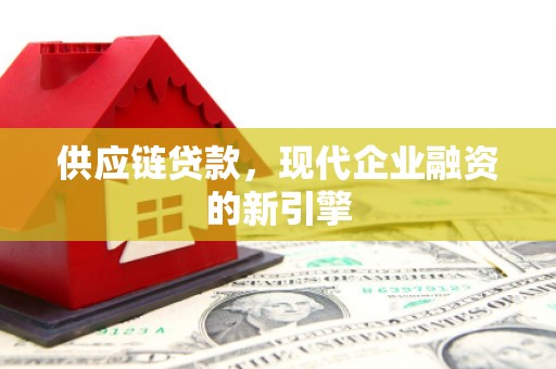大武供应链贷款，现代企业融资的新引擎