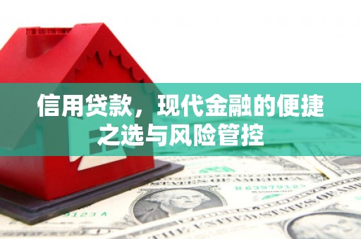 大武信用贷款，现代金融的便捷之选与风险管控