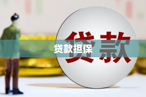 大武贷款担保