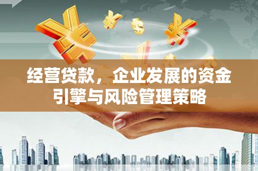 大武经营贷款，企业发展的资金引擎与风险管理策略