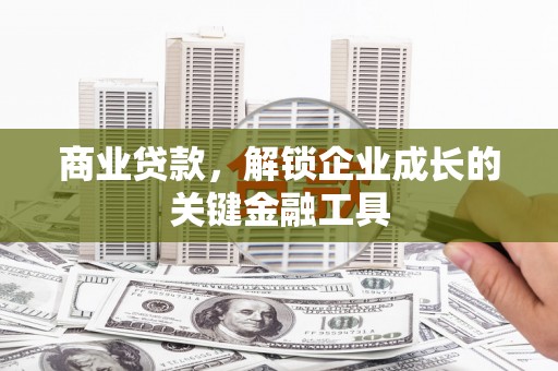 大武商业贷款，解锁企业成长的关键金融工具