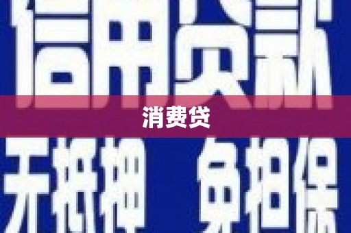 大武消费贷