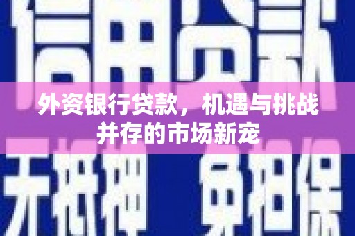 大武外资银行贷款，机遇与挑战并存的市场新宠