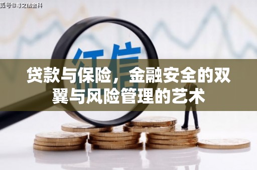 大武贷款与保险，金融安全的双翼与风险管理的艺术