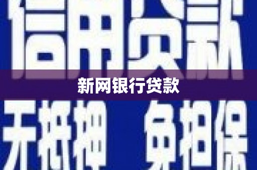 大武新网银行贷款