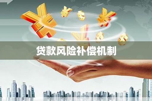 大武贷款风险补偿机制