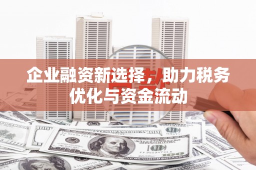 大武企业融资新选择，助力税务优化与资金流动