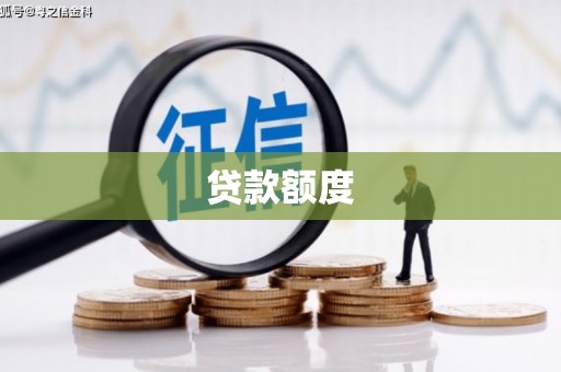 大武贷款额度
