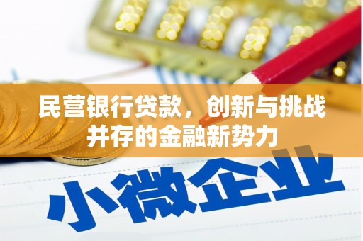 大武民营银行贷款，创新与挑战并存的金融新势力