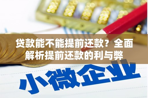 大武贷款能不能提前还款？全面解析提前还款的利与弊