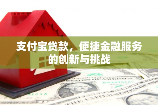大武支付宝贷款，便捷金融服务的创新与挑战