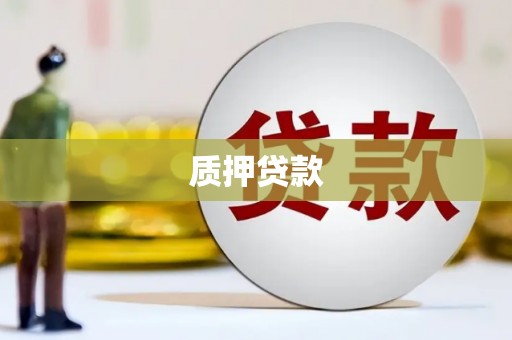 大武质押贷款