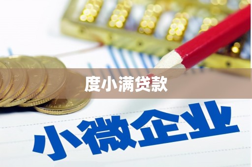 大武度小满贷款