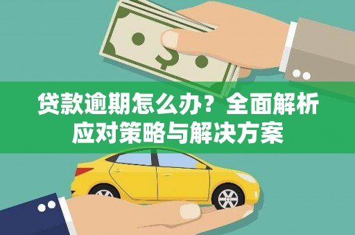大武贷款逾期怎么办？全面解析应对策略与解决方案