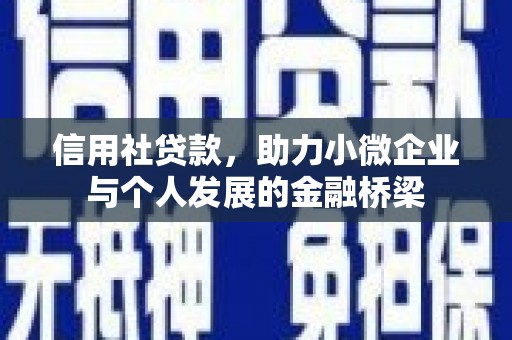 大武信用社贷款，助力小微企业与个人发展的金融桥梁