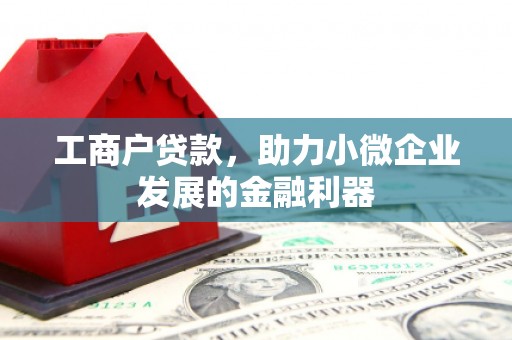 大武工商户贷款，助力小微企业发展的金融利器