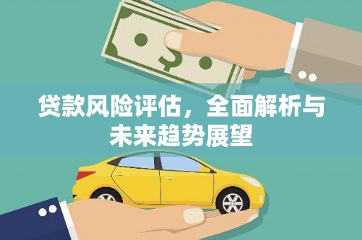 大武贷款风险评估，全面解析与未来趋势展望