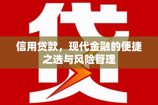 大武信用贷款，现代金融的便捷之选与风险管理