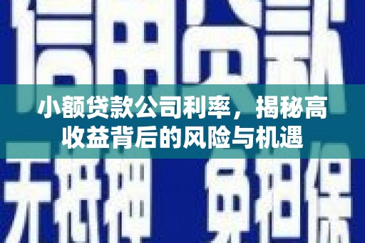 大武小额贷款公司利率，揭秘高收益背后的风险与机遇