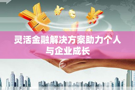 大武灵活金融解决方案助力个人与企业成长