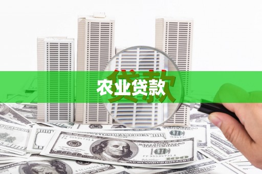 大武农业贷款