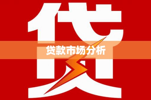 大武贷款市场分析