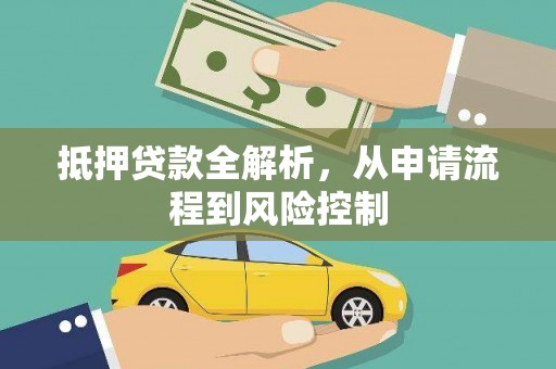 大武抵押贷款全解析，从申请流程到风险控制