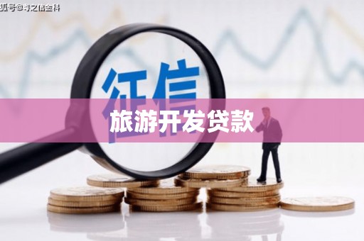大武旅游开发贷款