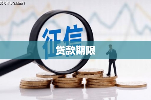 大武贷款期限