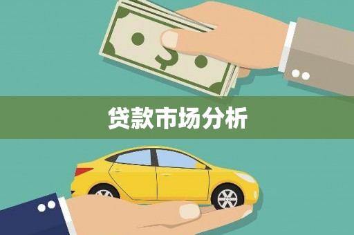 大武贷款市场分析