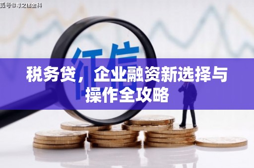 大武税务贷，企业融资新选择与操作全攻略