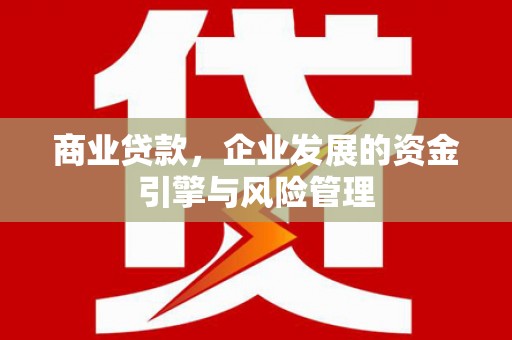 大武商业贷款，企业发展的资金引擎与风险管理