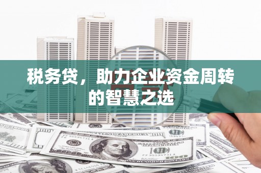 大武税务贷，助力企业资金周转的智慧之选