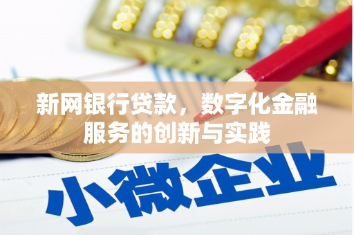 大武新网银行贷款，数字化金融服务的创新与实践