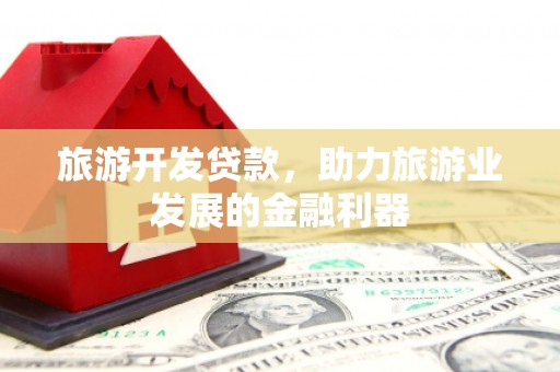 大武旅游开发贷款，助力旅游业发展的金融利器