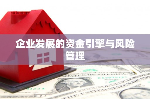 大武企业发展的资金引擎与风险管理