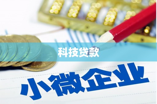 大武科技贷款