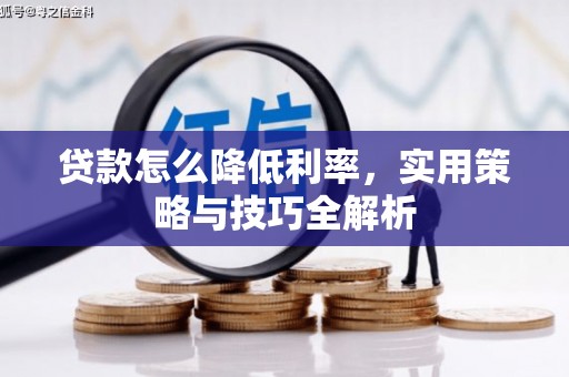 大武贷款怎么降低利率，实用策略与技巧全解析