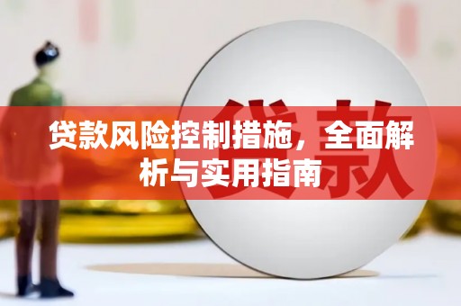 大武贷款风险控制措施，全面解析与实用指南