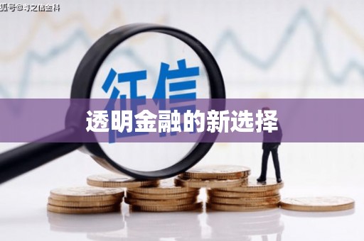 大武透明金融的新选择