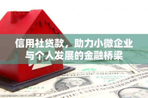 大武信用社贷款，助力小微企业与个人发展的金融桥梁